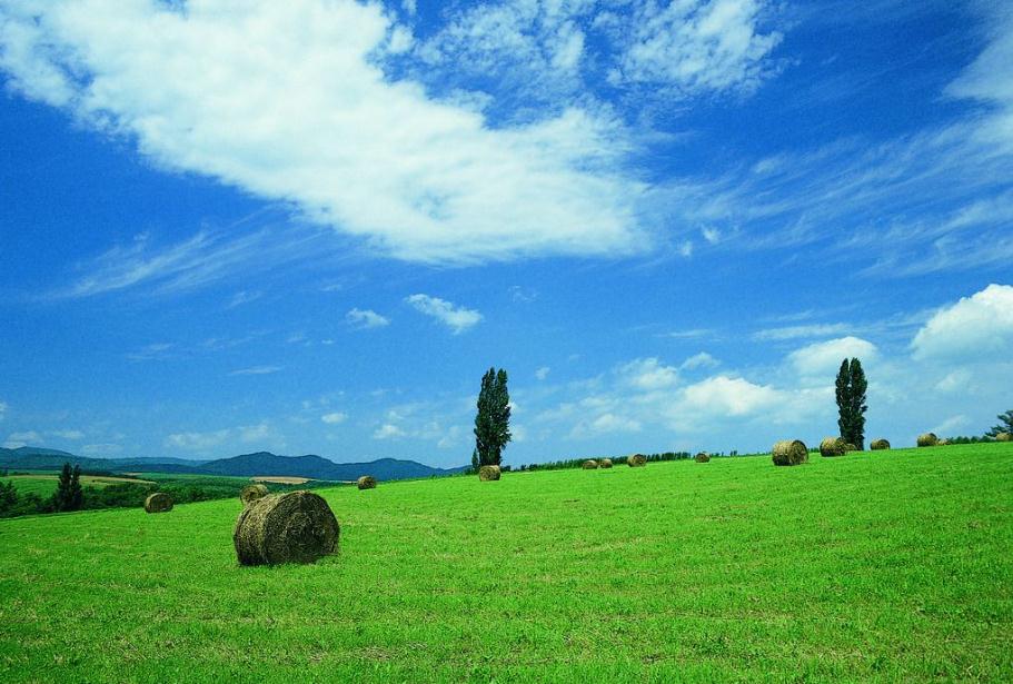  草地赛季遭遇极端天气，多场比赛被迫延期举行